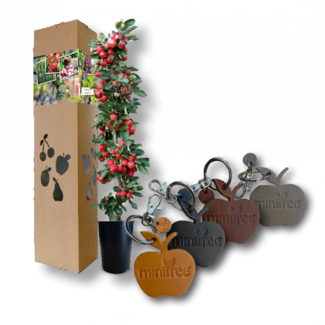 Moederdag Appelboompje Sleutelhangers