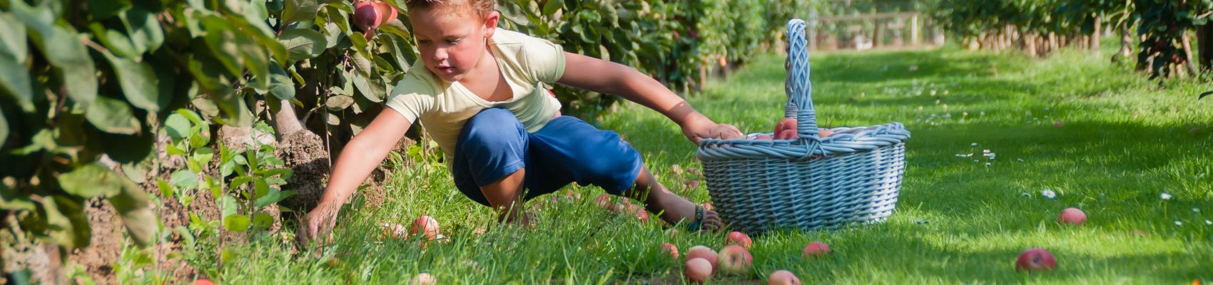 2016 ruben met mand redlane